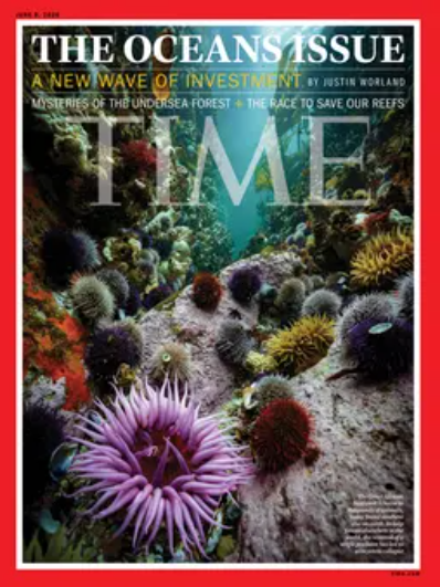 The current image has no alternative text. The file name is: time-ocean-cover.png
